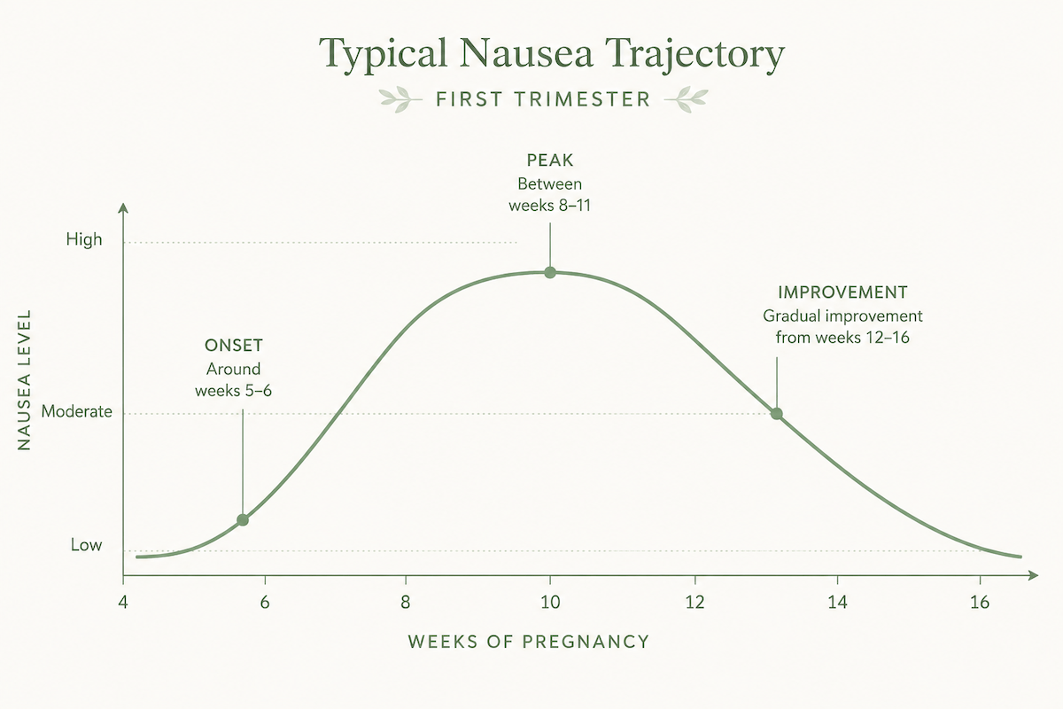 Nausea trajectory chart showing typical first trimester nausea onset around weeks 5 to 6, peak between weeks 8 and 11, and gradual improvement from weeks 12 to 16